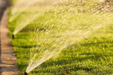 Irrigation & Drainage